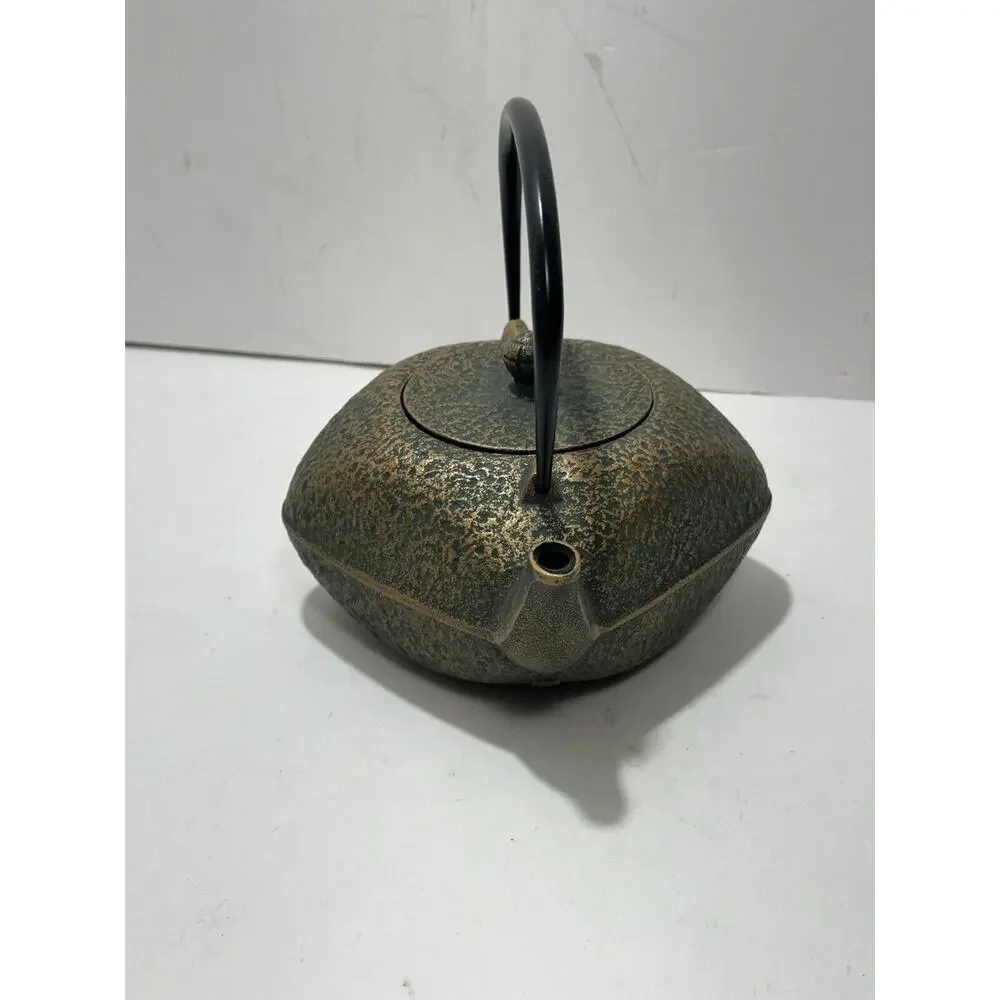 Japanese Rock Casting Iron Tea Pot‎ Kettle With Infuser Gorgeous Teapot Japan